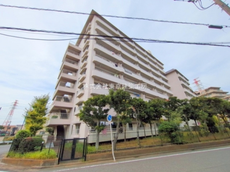 ���̑����n�@-