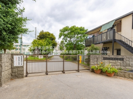 ���ӊ��@-