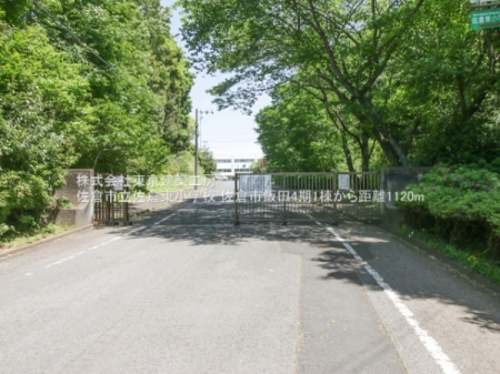 ���ӊ��@-