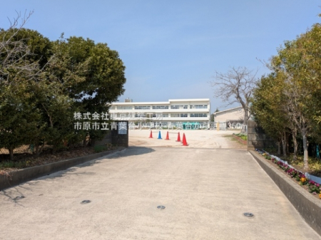 ���ӊ��@-