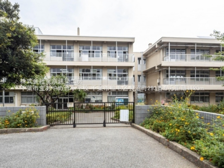 ���ӊ��@-