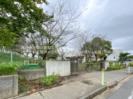 ���ӊ��@-