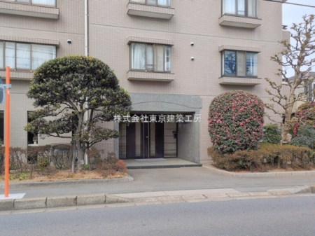 �G���g�����X�@-