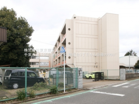 ���ӊ��@-