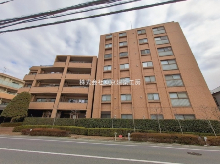 ���̑����n�@-