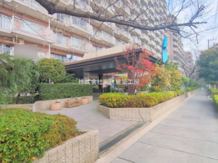 �G���g�����X�@-