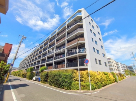 ���̑����n�@-