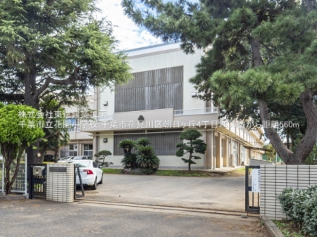 ���ӊ��@-