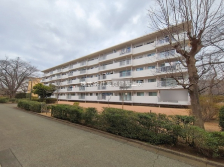 ���̑����n�@-