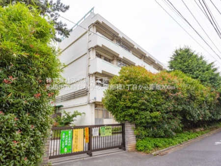 ���ӊ��@-