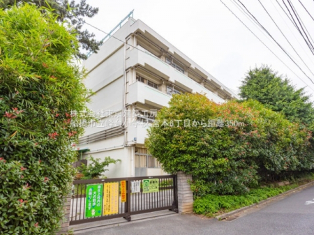 ���ӊ��@-