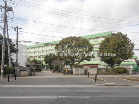 ���ӊ��@-