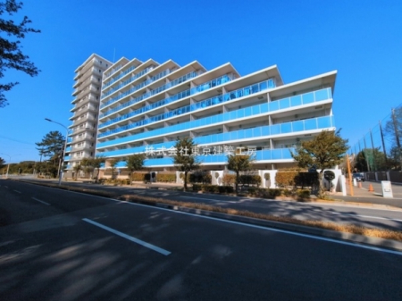 ���̑����n�@-