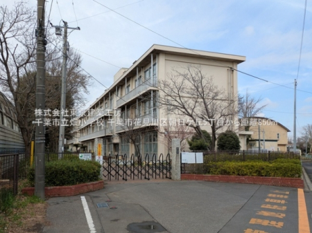 ���ӊ��@-