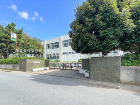 ���ӊ��@-