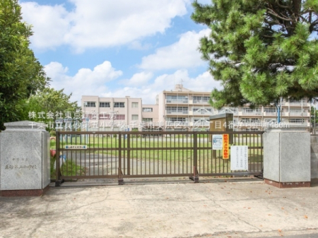 ���ӊ��@-