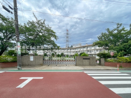 ���ӊ��@-