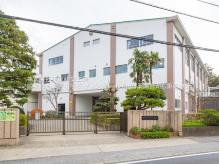 ���ӊ��@-