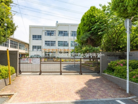 ���ӊ��@-