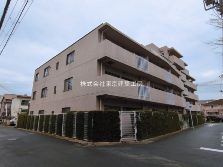 ���̑����n�@-