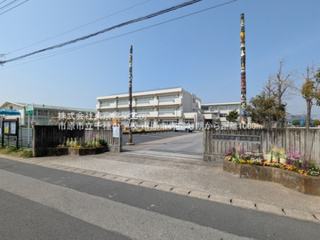 ���ӊ��@-