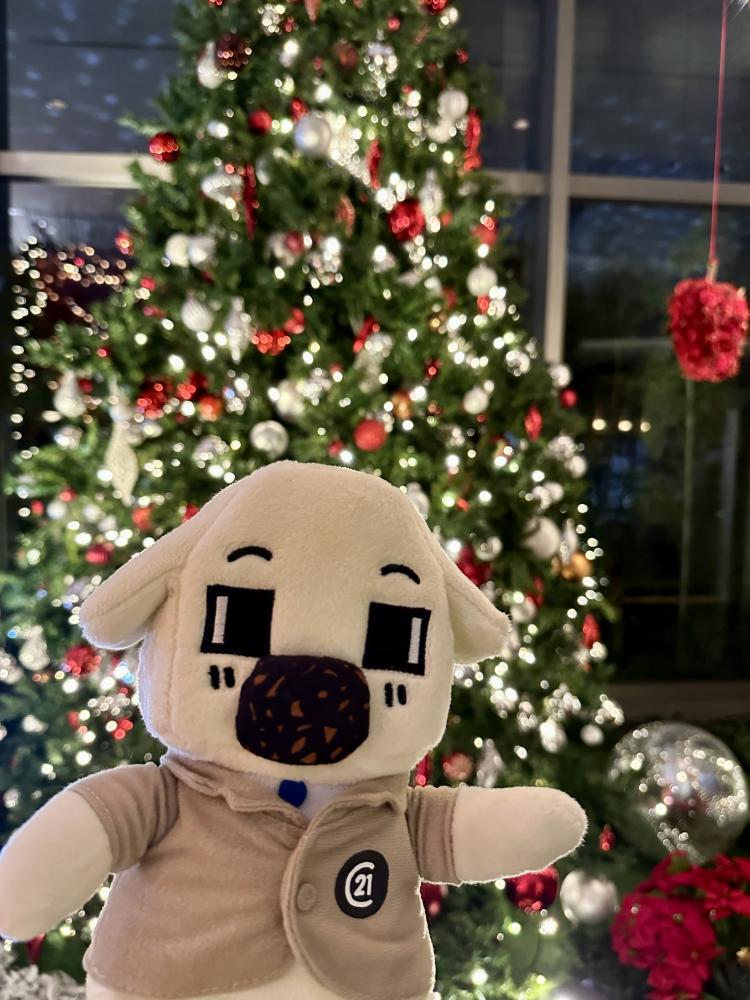 ★クリスマスの飾り付け★