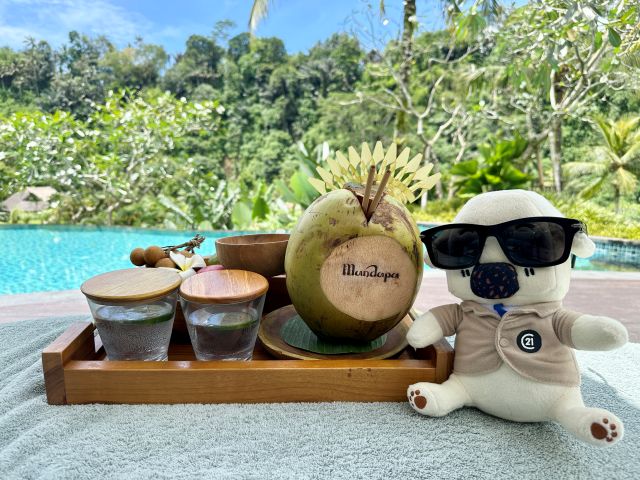 ★3月の定休日のお知らせ★