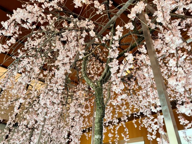 4月　定休日　お知らせ